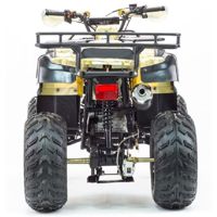 купить Квадроцикл STALKER 250 в Москве - фото 