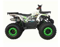 купить Квадроцикл MOWGLI Hardy 8M в Москве - фото 