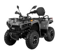 купить Квадроцикл BIZON YK250 Lux EFI в Москве - фото 