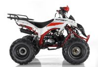 купить Квадроцикл MOTAX ATV Raptor Super LUX 125 cc в Москве - фото 