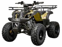 купить Квадроцикл YACOTA Kids 8 в Москве - фото 