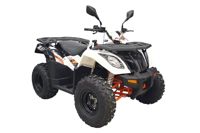 купить Квадроцикл KAYO AU300 Carb в Москве - фото 