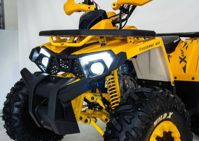 купить Квадроцикл MOTOLAND 125 Wild (2021 Г.) в Москве - фото 