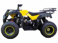 купить Квадроцикл ATV Classic 200 в Москве - фото 