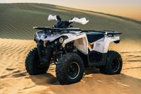 купить Квадроцикл SHARMAX Hummer 300 в Москве - фото 