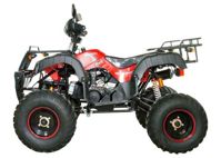 купить Квадроцикл AVANTIS Hunter 200 Lux в Москве - фото 