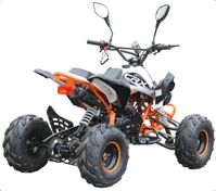 купить Квадроцикл MOTAX ATV T-Rex LUX 125 cc в Москве - фото 