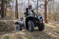 купить Квадроцикл BALTMOTORS Striker 400 EFI в Москве - фото 