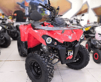 купить Квадроцикл MOTAX ATV Grizlik 200 Ultra Б/У в Москве - фото 
