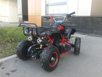 купить Квадроцикл MOTOLAND 50 Mini в Москве - фото 