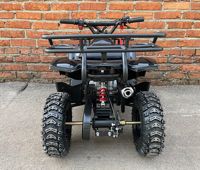 купить Квадроцикл MOWGLI Mini Hardy 4T в Москве - фото 