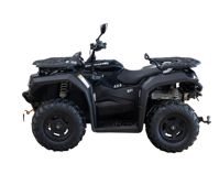 купить Квадроцикл HISUN Guardian 750S Short (ПСМ) в Москве - фото 