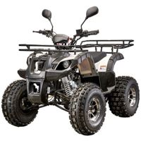 купить Квадроцикл YACOTA Kids 8 LD в Москве - фото 