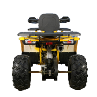 купить Квадроцикл AVANTIS Hunter 200 BIG Premium (Баланс. вал) в Москве - фото 