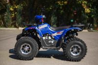 купить Квадроцикл AVANTIS Hunter 8 New Premium в Москве - фото 