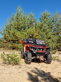 купить Квадроцикл HISUN Tactic 750 Normal (ПСМ) в Москве - фото 