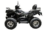 купить Квадроцикл RATO 200 LD Premium GT в Москве - фото 