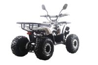 купить Квадроцикл MOTAX ATV Grizlik Premium 125cc в Москве - фото 