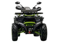 купить Квадроцикл MOTOLAND 200 Wild Track X Winch в Москве - фото 