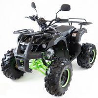 купить Квадроцикл MOTAX ATV Grizlik LUX 125cc в Москве - фото 