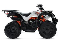 купить Квадроцикл KAYO AU150 CVT в Москве - фото 