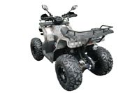 купить Квадроцикл MOTAX ATV Grizlik T200 Lux в Москве - фото 
