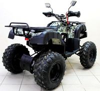 купить Квадроцикл ATV Avenger Tungus 250 в Москве - фото 