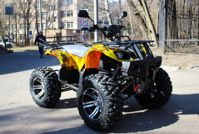 купить Электроквадроцикл ETORO MT-3400W Quad Electro 4x4 в Москве - фото 