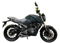 купить Мотоцикл RACER RC250XZR-X КАЙМАН ENDURO в Москве - фото 