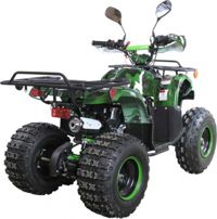 купить Квадроцикл AVANTIS Hunter 8M+ 125 2018 в Москве - фото 