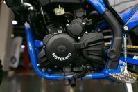 купить Мотоцикл кроссовый эндуро MOTOLAND FX300 (174MN-3) в Москве - фото 