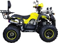 купить Квадроцикл AVANTIS Hunter 8M Lux 125 2017 в Москве - фото 