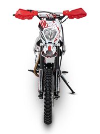 купить Мотоцикл питбайк SHARMAX PowerMax 125 (2024) в Москве - фото 