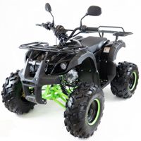 купить Квадроцикл MOTAX ATV Grizlik LUX 125cc в Москве - фото 