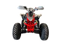 купить Квадроцикл MOTOLAND RALLY 250 в Москве - фото 