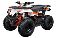 купить Квадроцикл KAYO AU125 в Москве - фото 