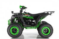 купить Квадроцикл WELS EVO X2 в Москве - фото 
