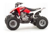 купить Квадроцикл MOTOLAND 250S в Москве - фото 