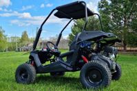 купить Багги KTA K1 в Москве - фото 