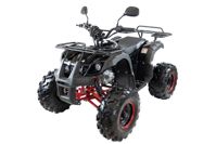 купить Квадроцикл MOTAX ATV Grizlik 7 110 cc в Москве - фото 