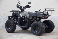 купить Квадроцикл UNIVERSAL Avenger JR 200 в Москве - фото 