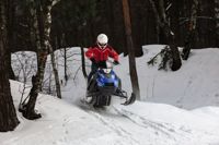 купить Снегоход SHARMAX SN-280 в Москве - фото 