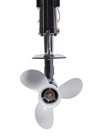 купить 2х-тактный лодочный мотор AVANTIS T9.8 (S) в Москве - фото 