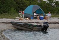 купить 4х-тактный лодочный мотор TOHATSU MFS 30 EPTL в Москве - фото 