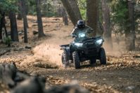 купить Квадроцикл KAWASAKI Brute Force 750 EPS (2024) (ПСМ) в Москве - фото 