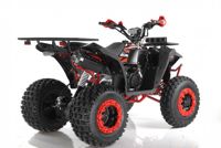 купить Квадроцикл WELS EVO X2 в Москве - фото 