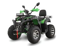 купить Квадроцикл GRIZZLY 200 Premium в Москве - фото 