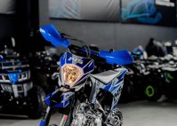 купить Мотоцикл питбайк SHARMAX PowerMax 145 в Москве - фото 