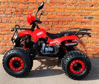 купить Квадроцикл MOWGLI Bold 8+ в Москве - фото 