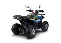 купить Квадроцикл AVANTIS Ray 8 Premium в Москве - фото 
